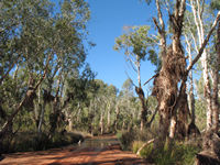 Ford across Fortescue River, Snappy Gum trail